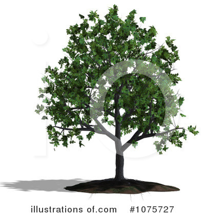 Tree Clipart #1075727 - Illustration by Ralf61
