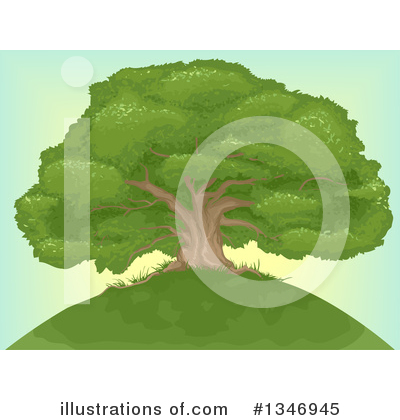Royalty-Free (RF) Tree Clipart Illustration by BNP Design Studio - Stock Sample #1346945