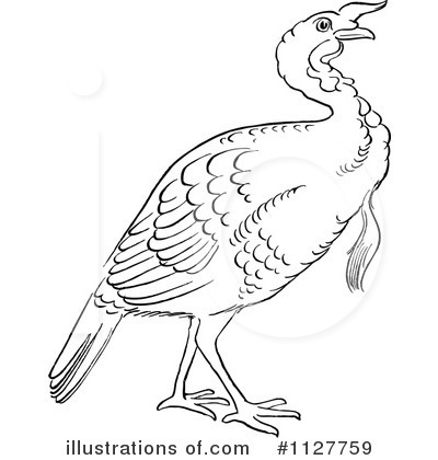 Thanksgiving Clipart #1127759 by Picsburg