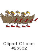 Turkey Bird Clipart #26332 by djart