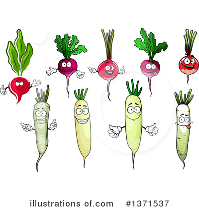 Daikon Radish Clipart #1371537 by Vector Tradition SM