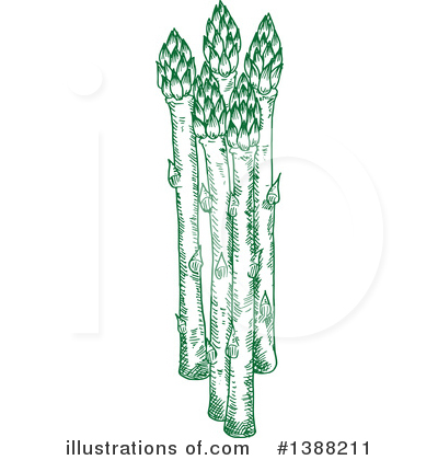 Royalty-Free (RF) Vegetable Clipart Illustration by Vector Tradition SM - Stock Sample #1388211
