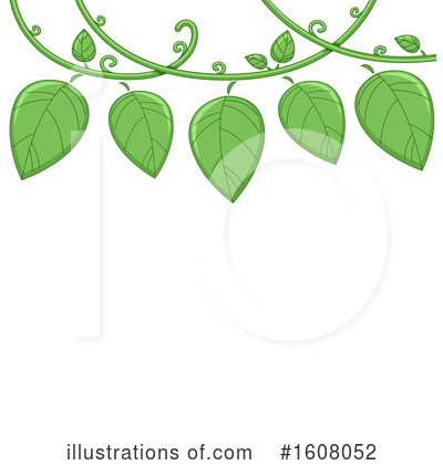 Vine Clipart #1608052 by BNP Design Studio