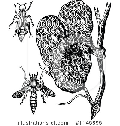 Royalty-Free (RF) Wasp Clipart Illustration by Prawny Vintage - Stock Sample #1145895