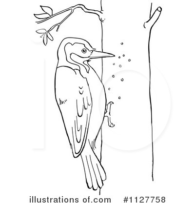 Woodpecker Clipart 1127758 Illustration by Picsburg