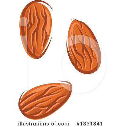 Royalty-Free (RF) Almond Clipart Illustration by Vector Tradition SM - Stock Sample #1351841