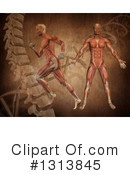 Anatomy Clipart #1313845 by KJ Pargeter