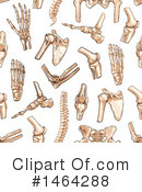 Anatomy Clipart #1464288 by Vector Tradition SM