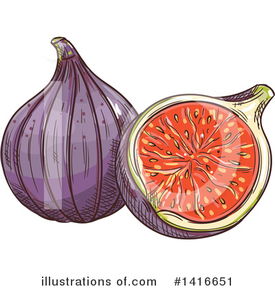Fig Clipart #1416651 by Vector Tradition SM