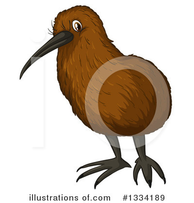 Kiwi Bird Clipart #65117 - Illustration by Dennis Holmes Designs