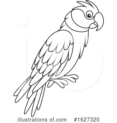 black and white parrot clip art