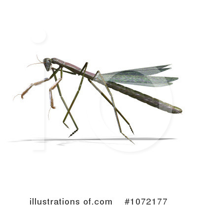 Praying Mantis Clipart #1079899 - Illustration by yayayoyo