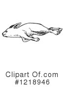 dead rabbit clipart