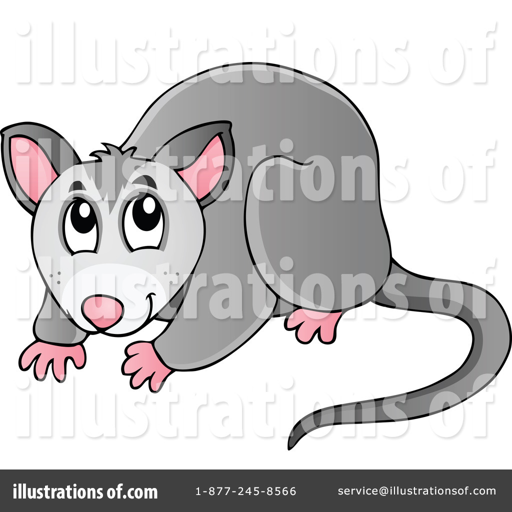 Possum Clipart #1144585 - Illustration by visekart