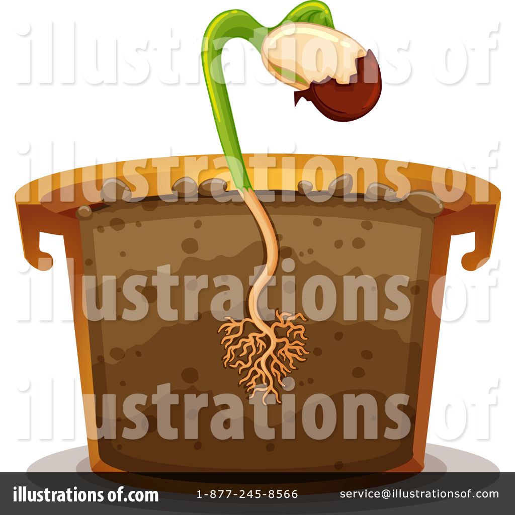 Sprout Clipart #1473920 - Illustration by Graphics RF