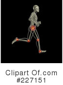 Skeleton Clipart #227151 by KJ Pargeter