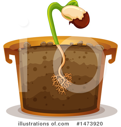 Sprout Clipart #1145376 - Illustration by BNP Design Studio